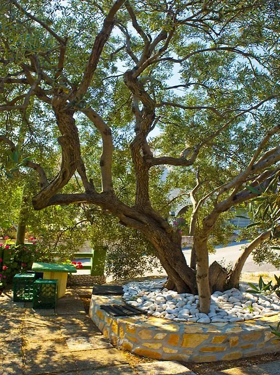 Apartments Villa Annika Slatine